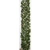Treillis lierre extensible