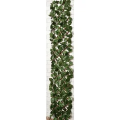 Treillis lierre extensible