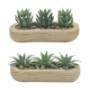 Trio succulentes