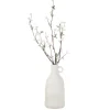 Vase avec branches de cerisier