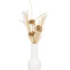 Vase avec fleurs sechees